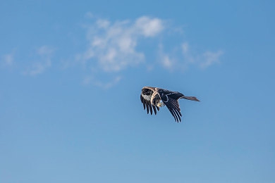 XxX少扫厨房XXx乱｜新款车型性能出色却现低速抖动疑虑，厂家积极应对期待市场表现提升-3