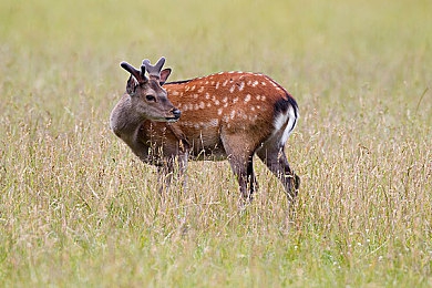 蜜桃成人av|卓越品质,驾驭未来,创领非凡之旅-2