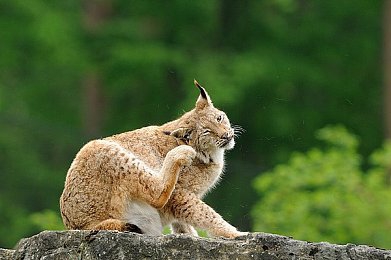 黄色软件www｜“革新未来驾驶体验：全新智能驾驶辅助系统引领绿色出行新潮流，保障行车安全与环保并行”-2