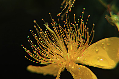 医生把我弄高潮|颠覆出行体验,智能新车型引领汽车科技潮流-1