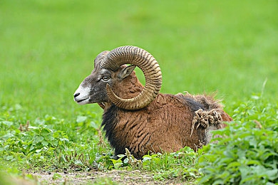 404禁止软件下载|智能汽车软件下载受阻:汽车制造商紧急应对,安全可靠性成焦点-2