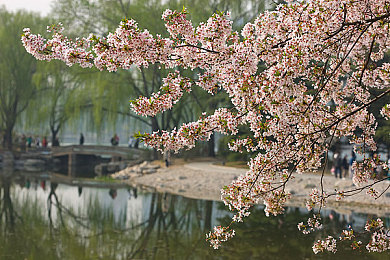 石原莉奈Av被老头侵犯｜石原丽影再起波澜，安全驾驶共筑新篇章-2