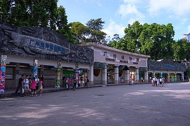 非洲人与牛性动交CCO0|“非洲风情设计,环保动力引领,创新车型助力非洲汽车产业腾飞”-2