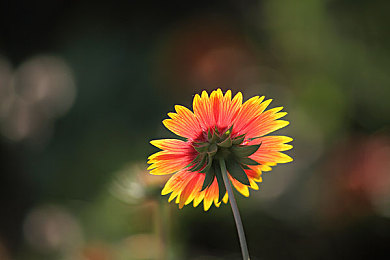 皇上当众揉捏公主的乳峰｜颠覆传统设计，豪华SUV引领车展潮流，打造前所未有的驾驶盛宴-2