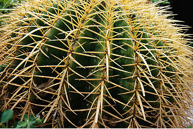 17c吃瓜黑料爆料|知名汽车品牌新车涉嫌抄袭,外观内饰做工问题频发,网友热议“糊弄消费者”-5