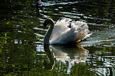 黄色视频免费3.0|新一代智能驾驶辅助系统来袭:革新体验,绿色出行引领未来潮流-1