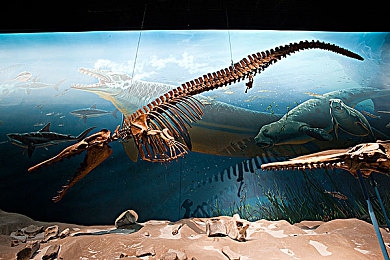 三级网曝吃瓜泄密黑料｜“知名汽车品牌新车型研发内幕曝光，内部决策引发行业热议，技术实力和市场策略备受瞩目”-3