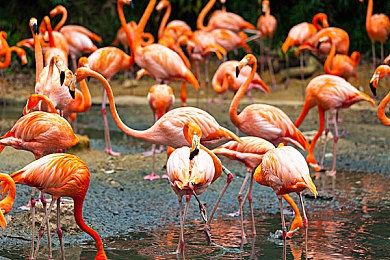 黄色软件葫芦娃|活力动感新宠来袭:国产“葫芦娃”车型惊艳亮相,科技与性能完美融合-3