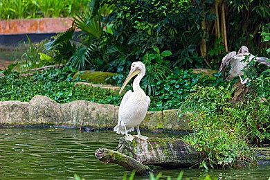 末18岁不可进的软件｜汽车科技助力年轻驾驶：安全环保软件升级，引领绿色出行新风尚-4
