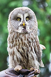 嗯灬啊灬把腿张开灬A片视频软件｜智能辅助系统革新驾驶体验，引领汽车行业迈向全新时代-1