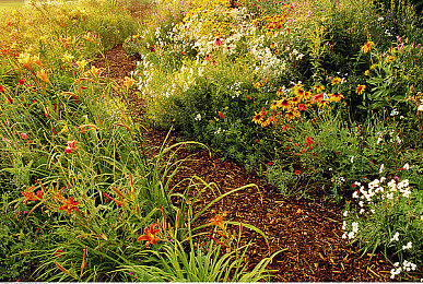 扣逼软件|智能导航新篇章,安全驾驶领航未来-2