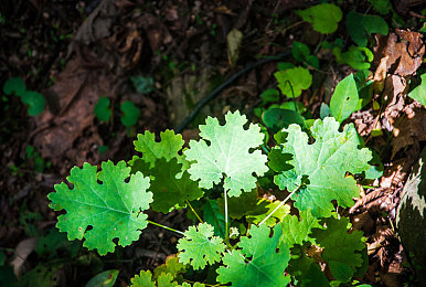 白丝班长｜新能源汽车领域再创新高，“白丝班长”团队引领行业前行-3