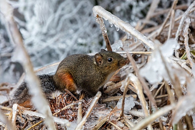 爽 好大 快 深点R星|R星全新车型惊艳亮相:极致性能与独特体验引领汽车市场新潮流-3