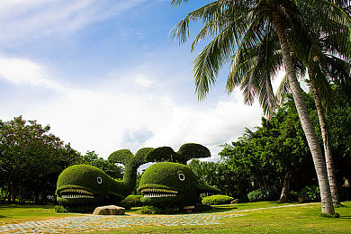 男人和女人差差差的APP｜驾驶差异解析，智能定制护航，共筑安全行车新里程-1