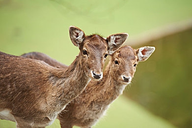 郭童童的邻居水管维修工|汽车保养,智慧守护,出行无忧之道-1