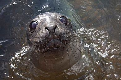 黄色软件app大全免费下载｜车主必备！全面实用安全，汽车服务软件免费大推荐，轻松应对用车难题-3