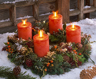 直播性交｜汽车安全直播引热议，创新融合性教育助力青少年健康成长-2