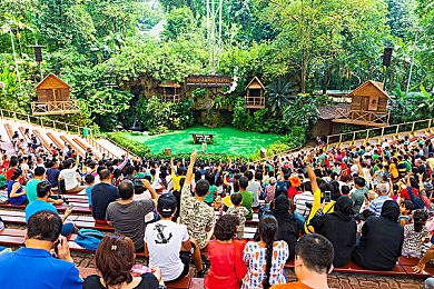 暴躁妹妹csgo活动详情小姐架|“创新汽车配件受热捧:Csgo游戏元素助力驾驶乐趣,车主新宠即将诞生”-2