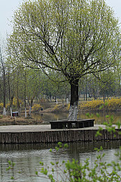 火影忍者黄油｜“创新动力，动漫风采：全新车型独特魅力引年轻消费者热捧，或成新一代销量爆款”-3