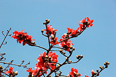张馨予被揉到高潮下不了床了｜奢华驾驭，心潮澎湃——汽车界新女神的激情驾驭之旅-2