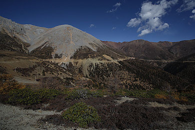 汤姆视频温馨提醒友情提醒|行车安全,细节决定人生轨迹-3