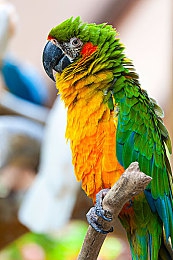 汤姆叔叔温馨提示提醒30s|行车安全无小事:汤姆叔叔揭示30秒汽车驾驶技巧,助您平安出行-2