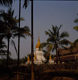 一个人看的视频｜颠覆传统审美的智能科技新能源车惊艳亮相，未来出行新选择备受期待-4