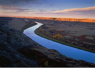 404禁用软件下载|智能驾驭,安全护航:软件稳定,行车无忧-3