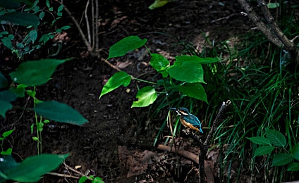 黄色软件大全3.03免费版下载|警惕!车载软件安全隐患引关注,车主需加强防范,共筑网络安全防线-4