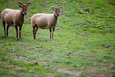 你懂的网|新能源汽车风头正劲,自动驾驶技术蓄势待发,二手车市场繁荣,智能网联汽车引领未来,汽车行业热点盘点!-1
