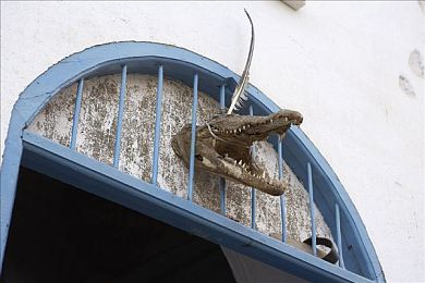 黄色TV｜时尚科技，驰骋未来，畅享舒适之旅-2