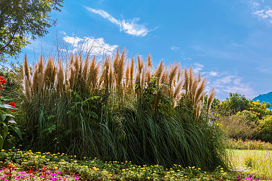 按摩师按摩高潮|科技舒享,舒适“驾”入未来-1