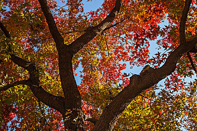 18摸APP下载｜汽车生活助手升级，综合性服务平台18摸APP受热捧，全方位服务赢得车主好评-3