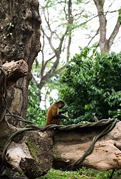 蜜乳网|新能源汽车领航未来:全新车型惊艳上市,续航500公里,智能科技加持-2