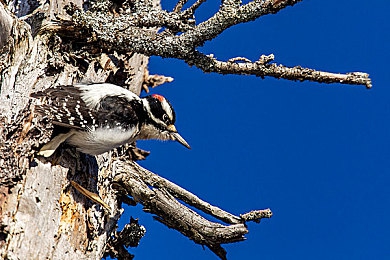 暴躁大妈2农场女儿角色剧情介绍森林,“森林风情SUV新宠,环保农场女儿助力“暴躁大妈2”上市引期待-4