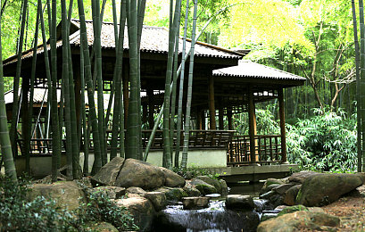 阿娇隐私的毛无遮挡图片｜惊艳登场，跨界时尚SUV，性能与科技共舞-1