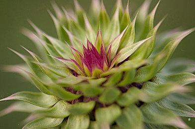 三上悠亚|未来科技引领,全新概念车型惊艳全球,性能卓越,智能出行新标杆-1