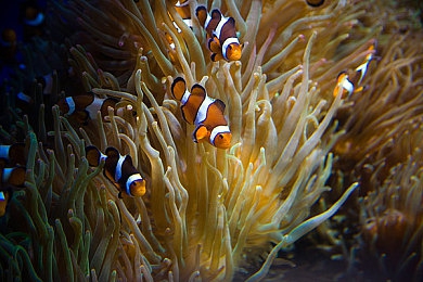 男女做网站|汽车资讯浪潮涌,个性化网站助力行业发展新篇章-2