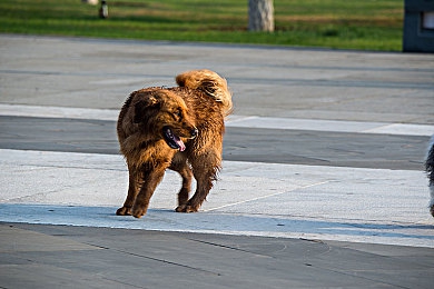 黑料吃瓜另类稀缺专区｜“科幻环保，科技领航：揭秘另类潮流汽车传奇故事”-2