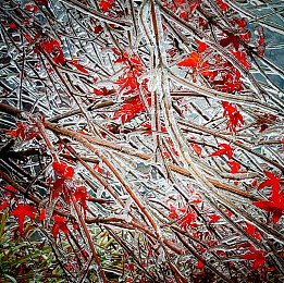 SP 虐打 打屁股 调教｜“性能升级，极致驾驭：某品牌SUV经过精心调教，成为市场新宠！”-1