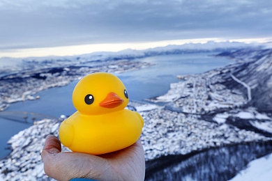 绿巨人回眸一笑后半段表情包|绿色巨杉灵感之作,独特设计性能出众:绿巨人SUV成焦点,回眸一笑表情包助力走红-2