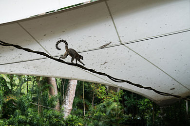 黄鳝钻进了币币网站｜“币币网站意外“黄鳝”闯入直播间，创新服务引关注，汽车电商新生态再升级”-1