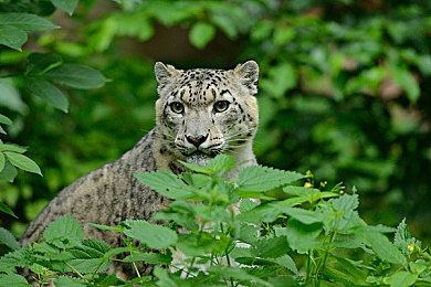 打扑克剧烈运动软件|智能驾驶新潮流:扑克游戏助力行车安全,科技赋能驾驶乐趣-1