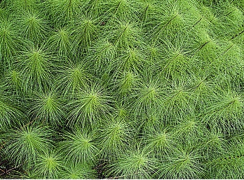 成人网站视频免费观看的特色功能|汽车品牌创新营销:全景体验+互动互动,免费视频解锁购车新乐趣-2