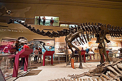 99re|新能源汽车领航,燃油车市场创新潮涌:盘点近期热门新车型-1