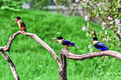 人妻被按摩师玩弄到潮喷|“按摩放松成驾驶安全警示,掌握心态与车辆知识,共建和谐驾驶环境”-3