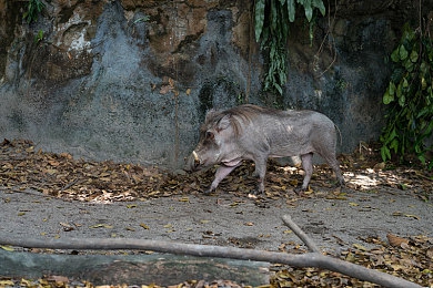 a1智能换脸一赵丽颖｜“AI换脸技术打造明星座驾，赵丽颖助力A1智能汽车引领潮流”-2