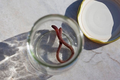 大炕上初尝性事｜“未来科技盛宴：颠覆性外观与智能配置，全新概念车引领汽车新时代”-1