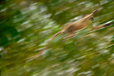 白色脚上满满白精华液9岁能用吗｜汽车养护新宠引关注：专家解析“白色精华液”儿童适用性及使用安全须知-1