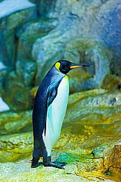 张柏芝被揉到高潮下不了床小说|“激情驾驭”全新车型亮相,独特设计理念引领车市潮流,打造极致驾驶体验-3